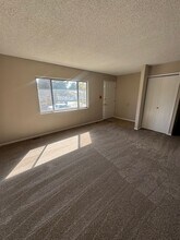 4430 Hopeful Way in Colorado Springs, CO - Building Photo - Building Photo