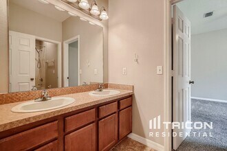 11767 Summer Springs Dr in Riverview, FL - Building Photo - Building Photo