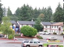 Springtree Apartments in Lakewood, WA - Foto de edificio - Building Photo