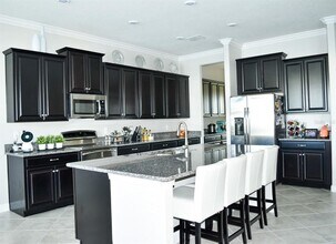 13520 White Sapphire Rd in Riverview, FL - Building Photo - Building Photo