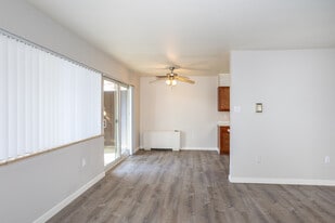 Boulevard Park Apartments in Denver, CO - Building Photo