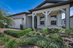 19865 Sea Glass Cir in Land O Lakes, FL - Building Photo