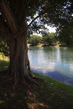 Lakeside Villas in Sunrise, FL - Foto de edificio - Building Photo