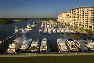 Levin's Bend in Orange Beach, AL - Building Photo - Building Photo