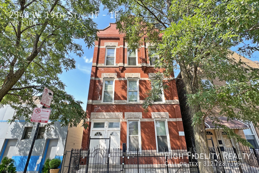 2346 W 19th St in Chicago, IL - Building Photo