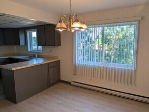 21W185 Tee Ln in Itasca, IL - Building Photo - Building Photo