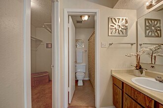 Cypress Pointe in Midland, TX - Foto de edificio - Building Photo