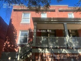 3833 Blaine Ave in St. Louis, MO - Building Photo