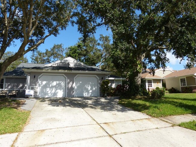 3135 Phlox Dr in Palm Harbor, FL - Building Photo - Building Photo