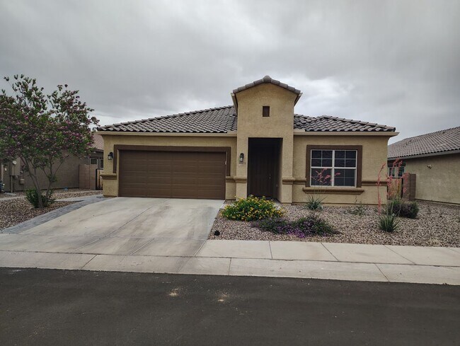10075 N Sand Sage Trail in Marana, AZ - Building Photo - Building Photo