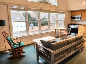 411 N Geneva St, Unit Apt 1 in Ithaca, NY - Building Photo - Building Photo