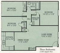 Forest Pine Apartments - 12