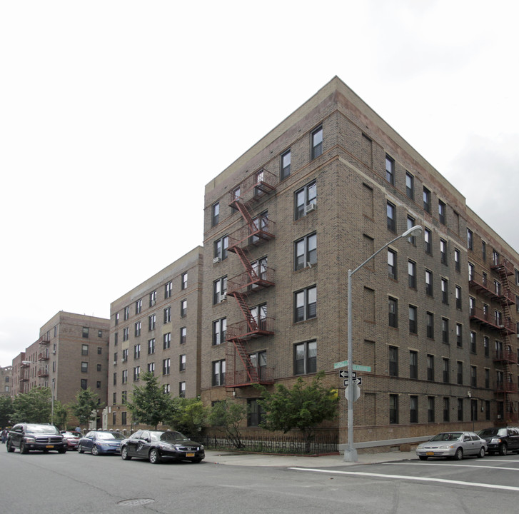 250-270 Crown St in Brooklyn, NY - Building Photo