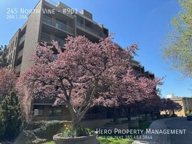 245 N Vine St in Salt Lake City, UT - Building Photo