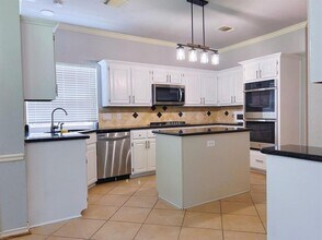16838 Willow Bend Ct in Sugar Land, TX - Building Photo - Building Photo