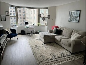 535 N Michigan Ave in Chicago, IL - Building Photo - Building Photo