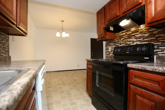 Bouse Apartment Homes in Belleville, IL - Foto de edificio - Interior Photo