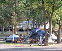 Shady Oasis Kampground in Victorville, CA - Building Photo - Building Photo