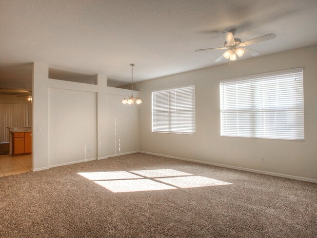 9707 Patrician Dr in New Port Richey, FL - Building Photo - Building Photo
