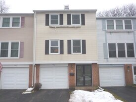 1919 Finchley Ct in Schaumburg, IL - Building Photo