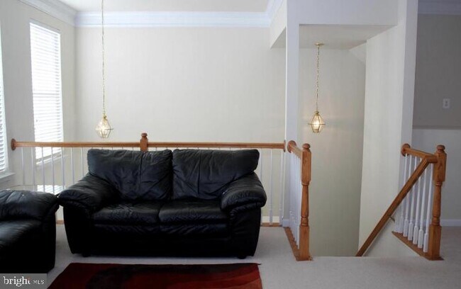 12586 Birkdale Way in Fairfax, VA - Building Photo - Building Photo