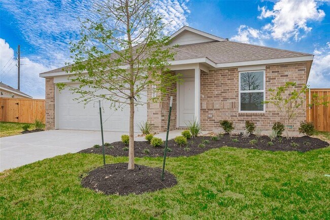 29106 Natural Crk Ct in Hockley, TX - Building Photo - Building Photo