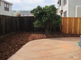 111 Chimney Rock Ct in Vacaville, CA - Building Photo