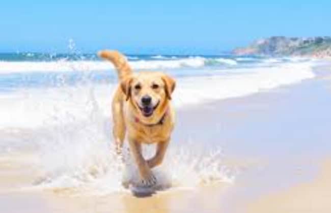 property at 165 Boracay Cir