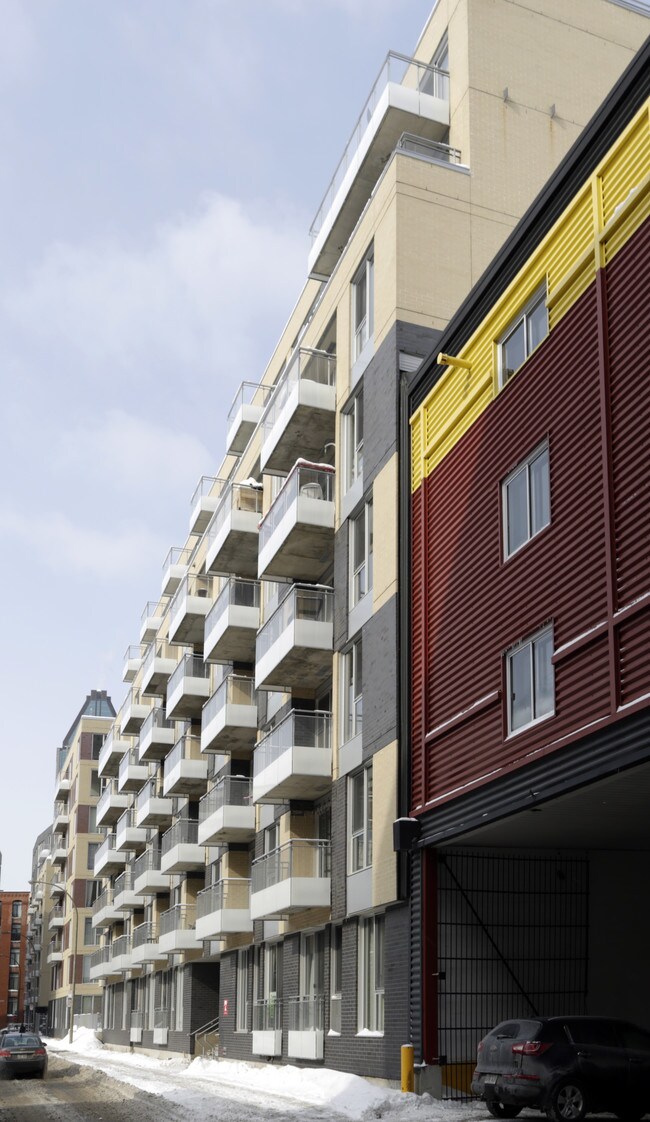 Lowney Phase 10 in Montréal, QC - Building Photo - Primary Photo