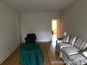 16 Alton Pl in Brookline, MA - Foto de edificio - Building Photo