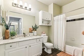 Society 865 in Knoxville, TN - Building Photo - Building Photo