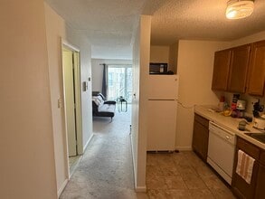 36 Bellvista Rd, Unit 37 in Boston, MA - Foto de edificio - Building Photo