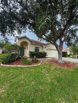 4017 Langdrum Dr in Wesley Chapel, FL - Building Photo