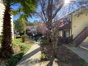 Shadow Creek Apartments in Castro Valley, CA - Building Photo - Building Photo