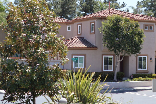 property at 38 Paseo Viento