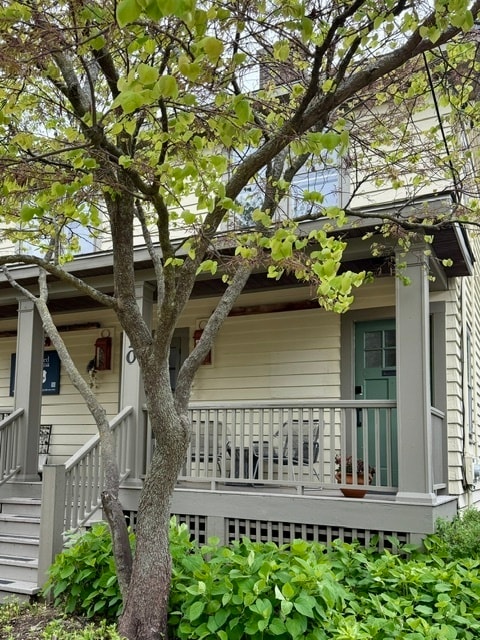 property at 310 Campbell St