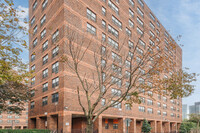 475 Carlton Ave in Brooklyn, NY - Foto de edificio - Building Photo