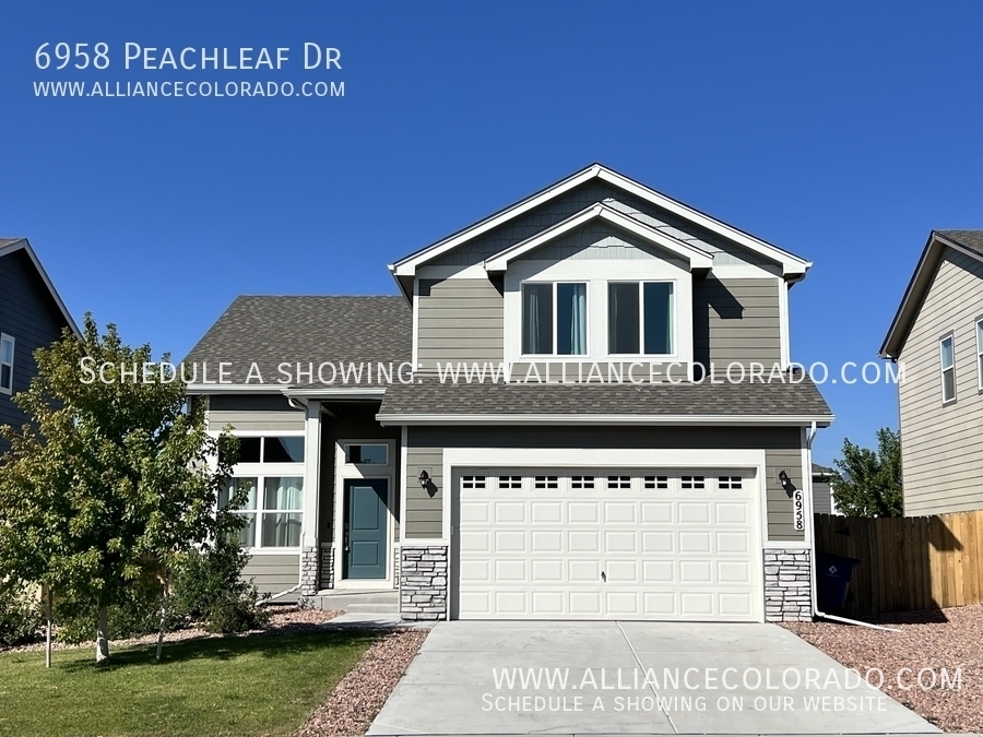 6958 Peachleaf Dr in Colorado Springs, CO - Building Photo