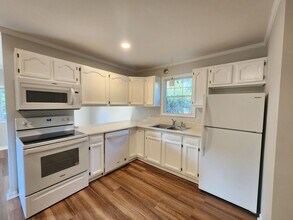 12 Marigold St in Asheville, NC - Building Photo - Building Photo