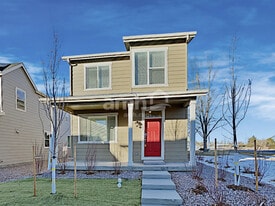 4303 Crestone Peak St in Brighton, CO - Building Photo