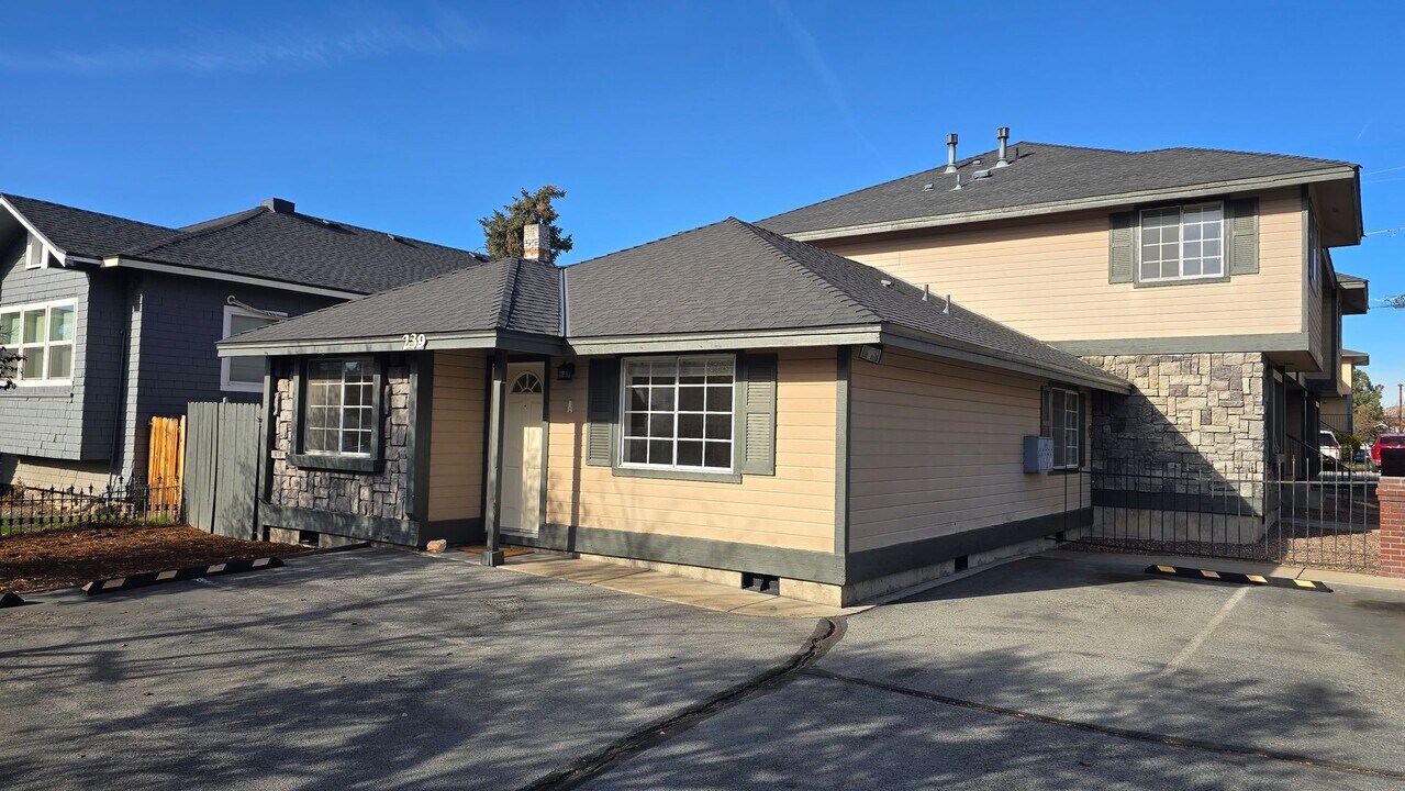 247 Cheney St in Reno, NV - Building Photo