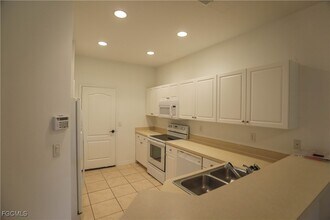 10221 Olivewood Way in Estero, FL - Building Photo - Building Photo