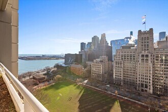 250 E Pearson St in Chicago, IL - Building Photo - Building Photo