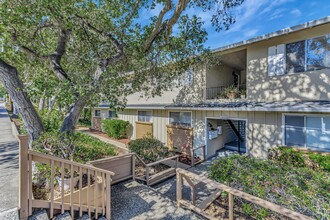 14649 Oak in Saratoga, CA - Foto de edificio - Building Photo