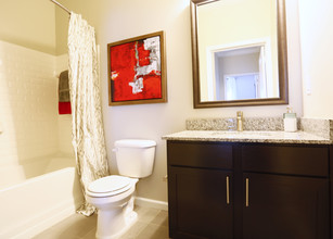 Carastone in Charlotte, NC - Foto de edificio - Interior Photo