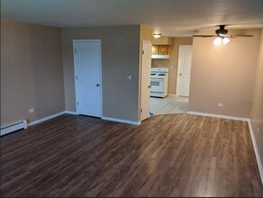 1101 Holiday Ln, Unit 18 in Des Plaines, IL - Foto de edificio - Building Photo