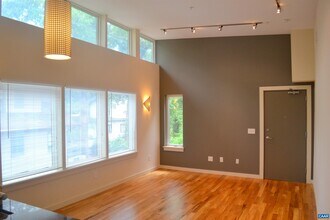 1600 Jefferson Park Ave in Charlottesville, VA - Building Photo - Building Photo