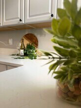 645 Dumbarton Ave in Baltimore, MD - Building Photo - Building Photo