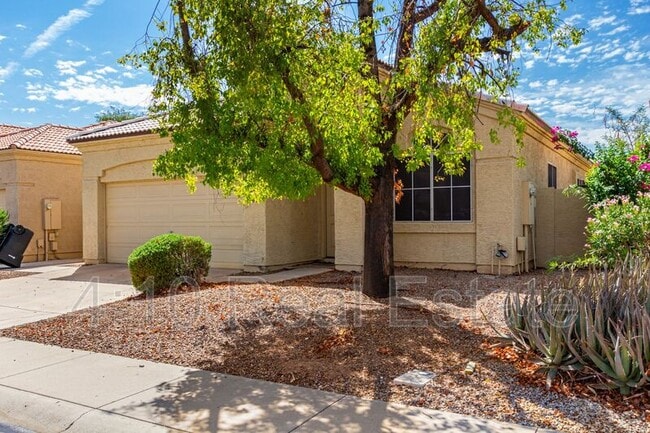 3323 W Megan St in Chandler, AZ - Building Photo - Building Photo