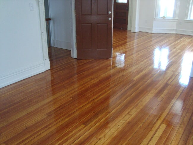 533 Washington Ave, Unit 2 in Albany, NY - Foto de edificio - Building Photo